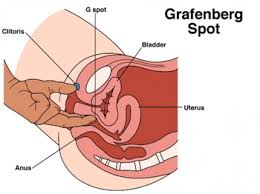 Kết quả hình ảnh cho g spot amplification