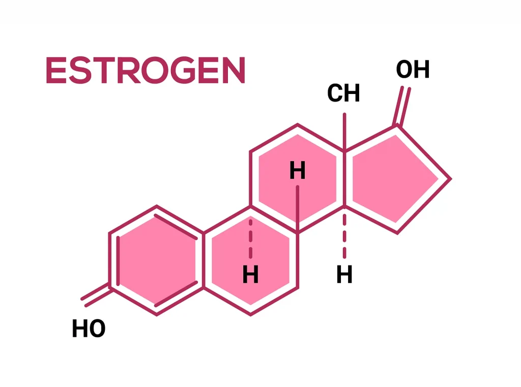 Estrogen hormone jpg 1