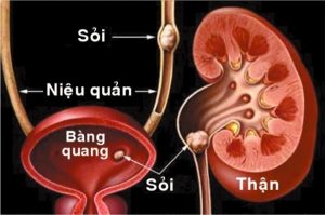 Soi tiet nieu 1